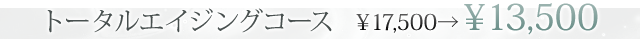 トータルエイジングコース¥13,500